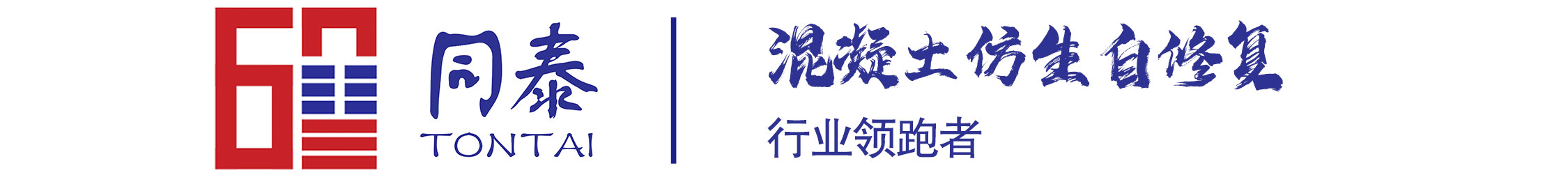 广东同泰新材料有限公司